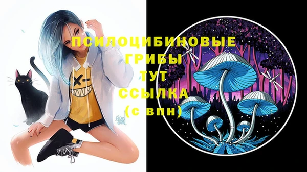 мдма Богородицк