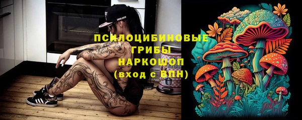 мдма Богородицк
